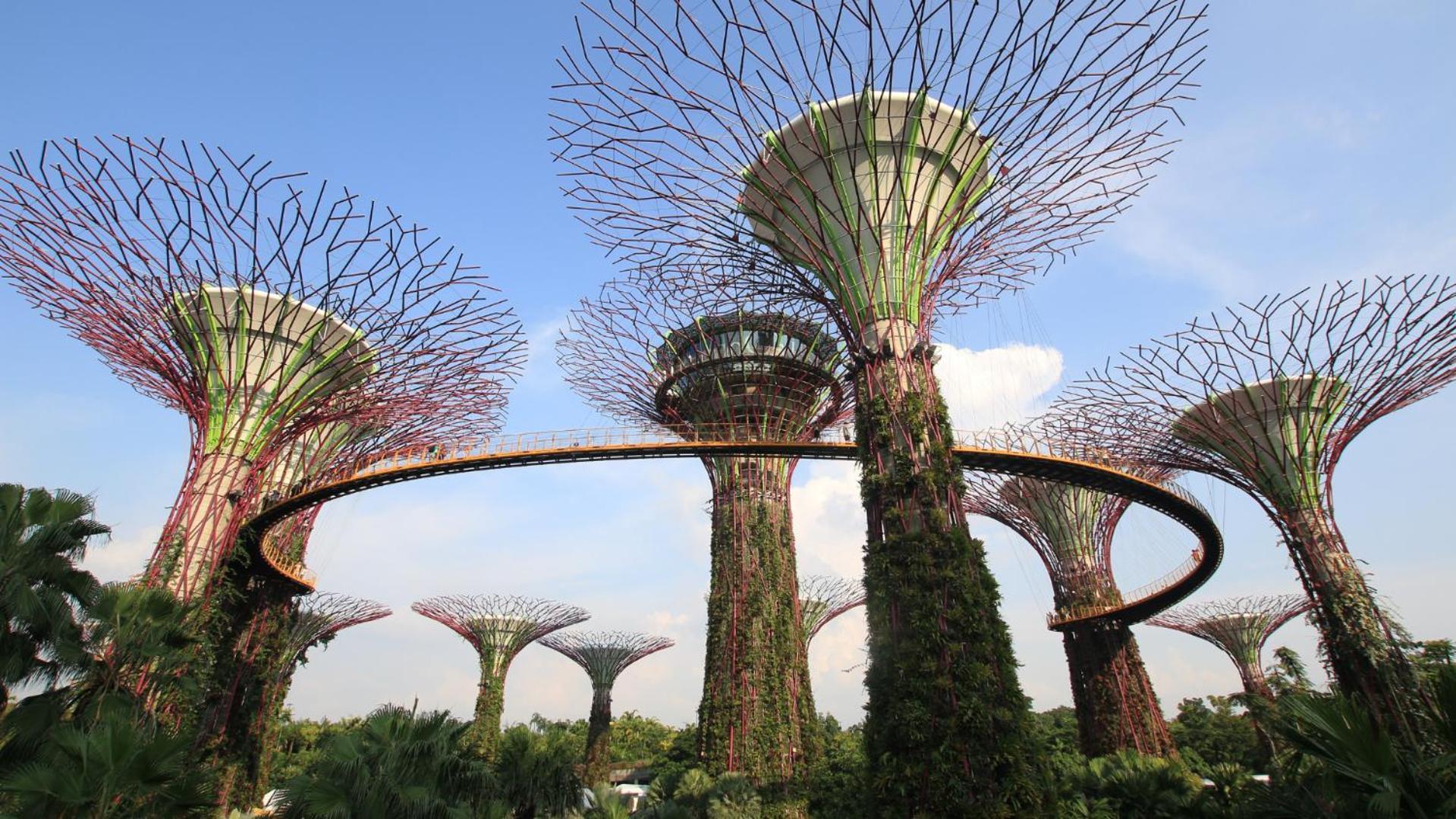 Hotel Royal Plaza On Scotts Singapur Exterior foto The Supertree Grove